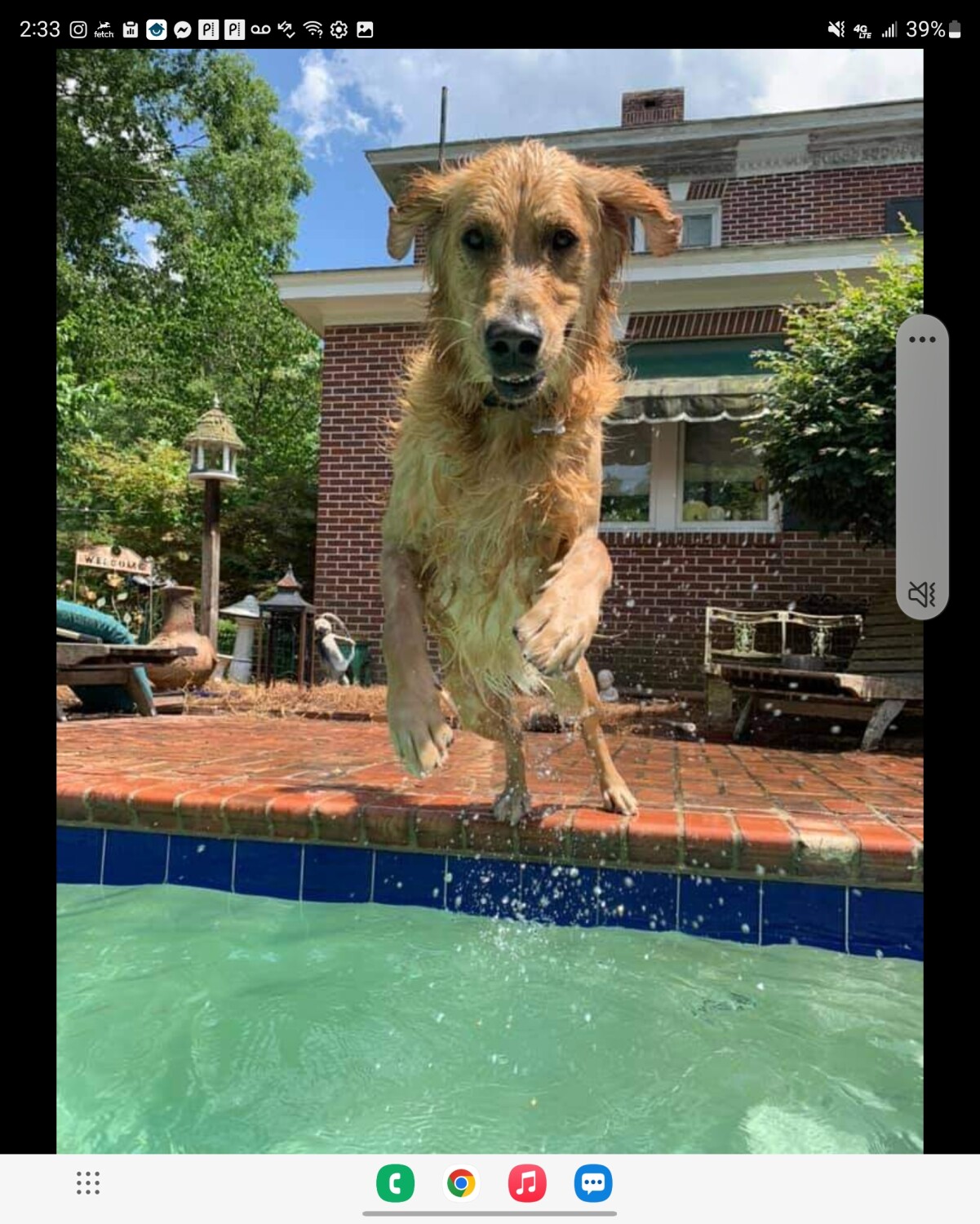 Griffin enjoying the pool