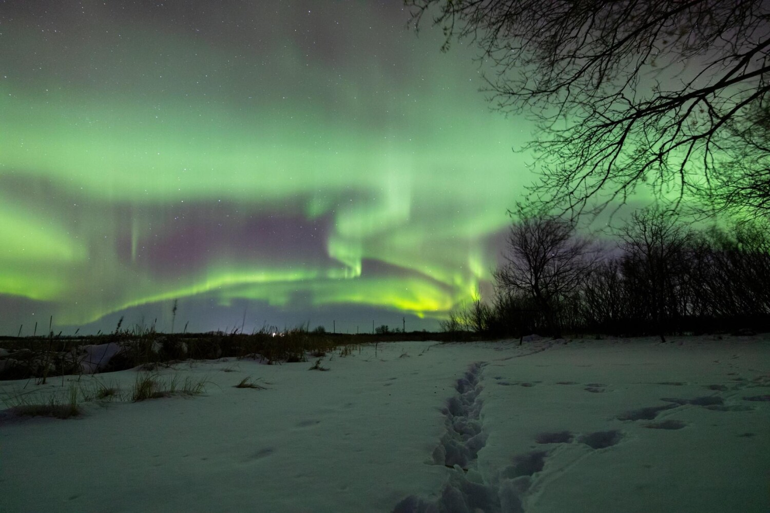 Beauty of The Northern Lights