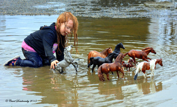 Puddle Ponies