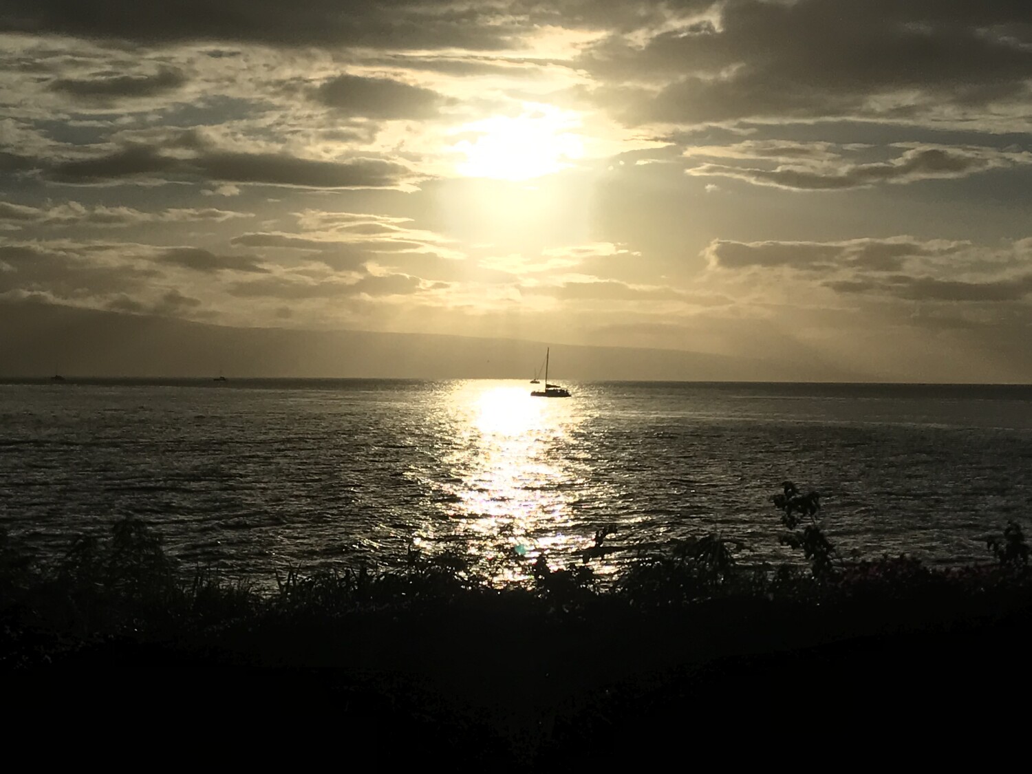 Beautiful Night Maui