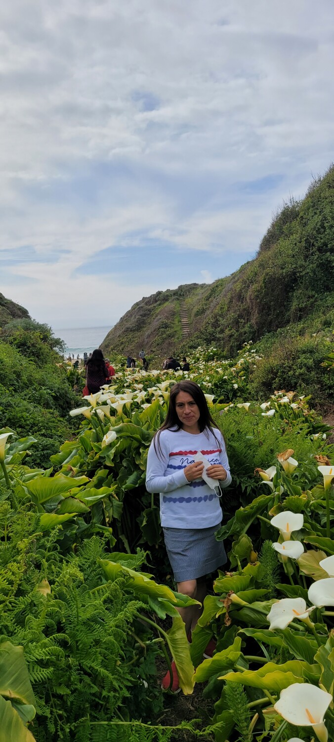 Flowers give new starday