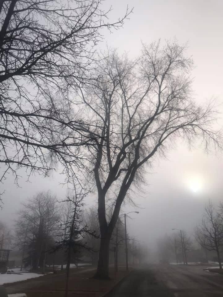 Foggy Morn