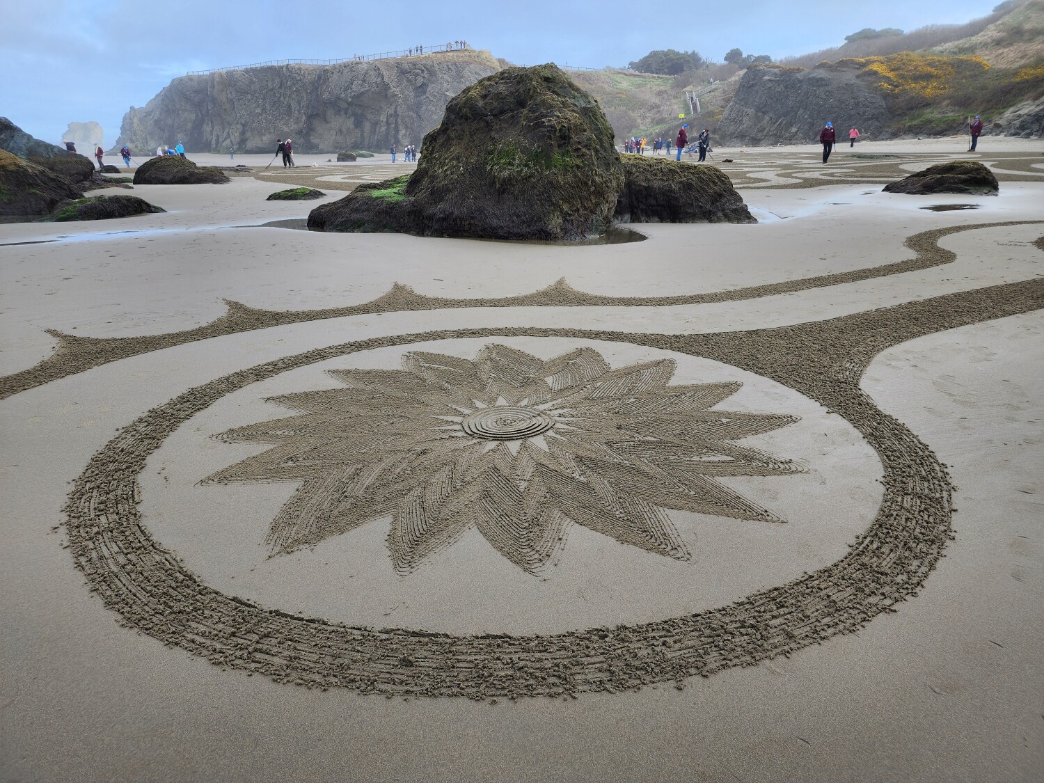 Meditation by the Sea