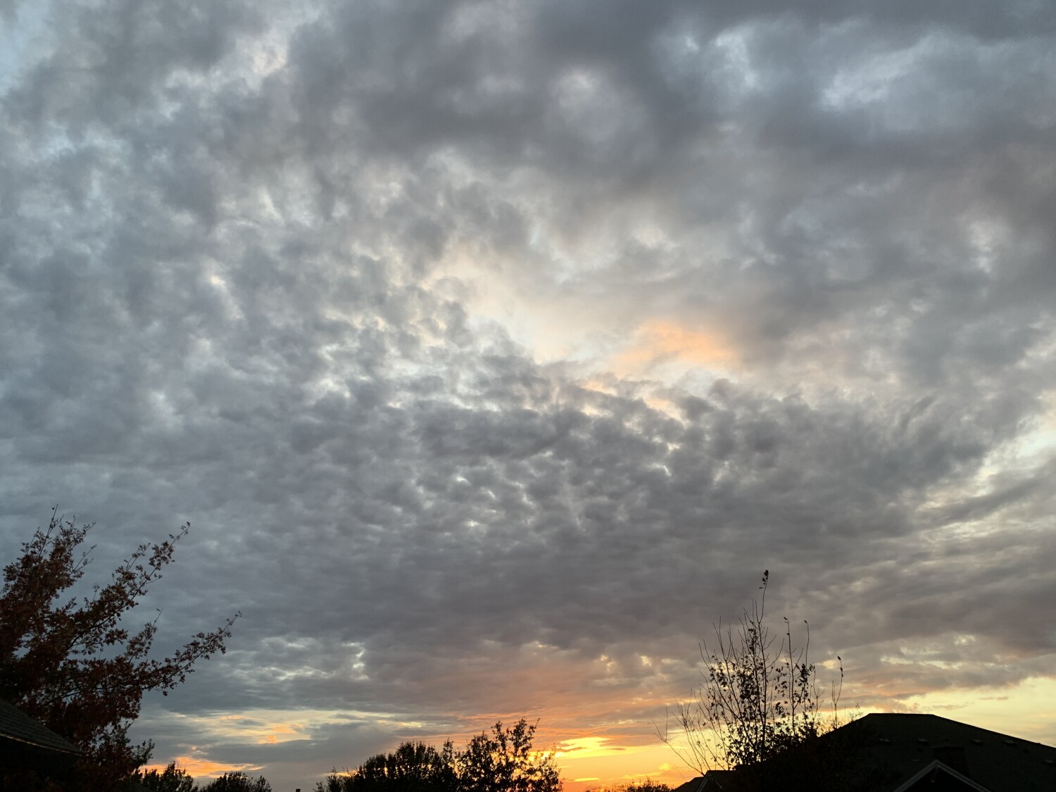 Magical 🧙‍♀️ Kingdom