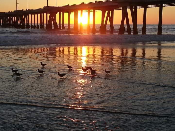Venice Beach pier 2011