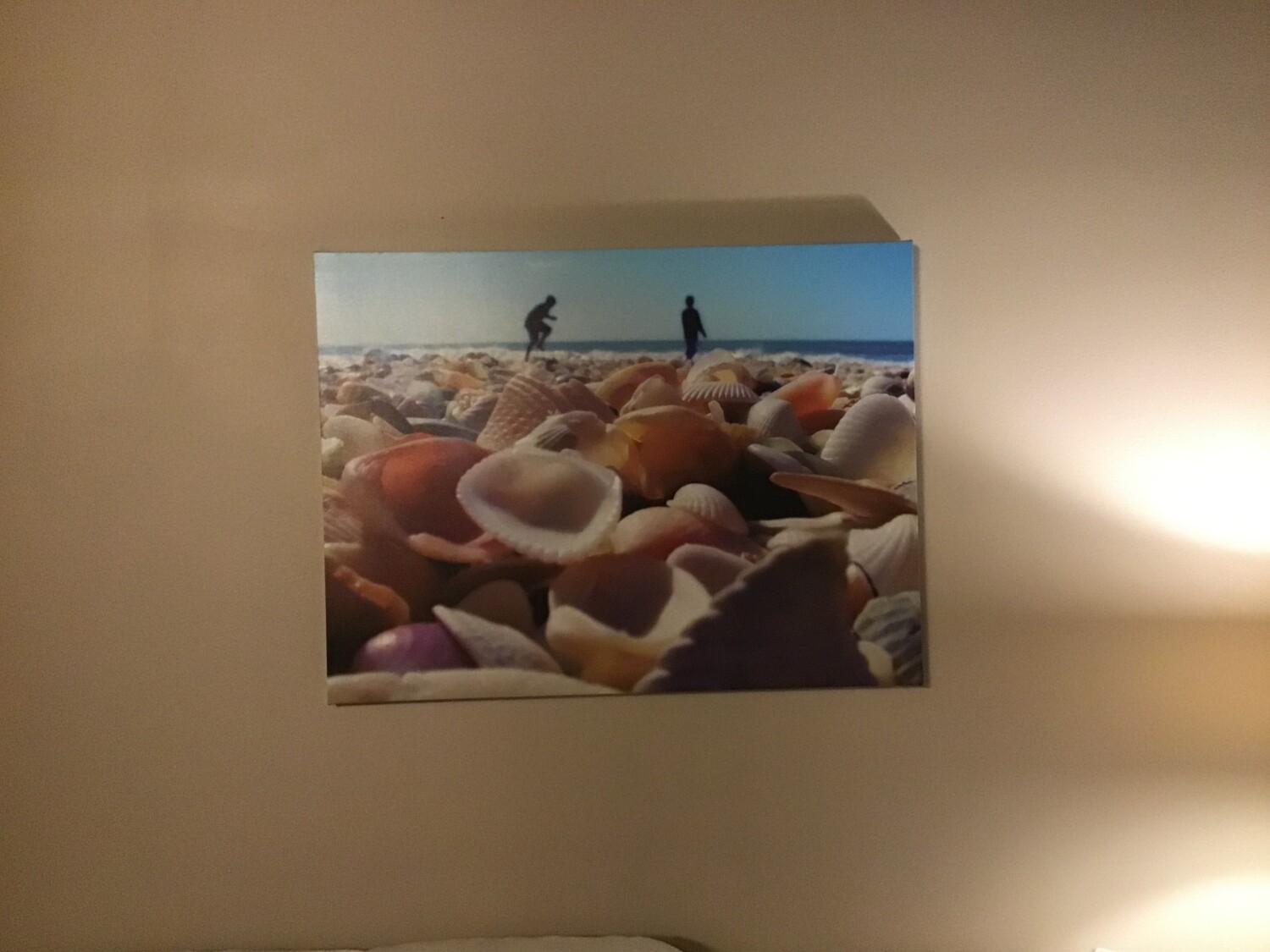 Dancing in the shells