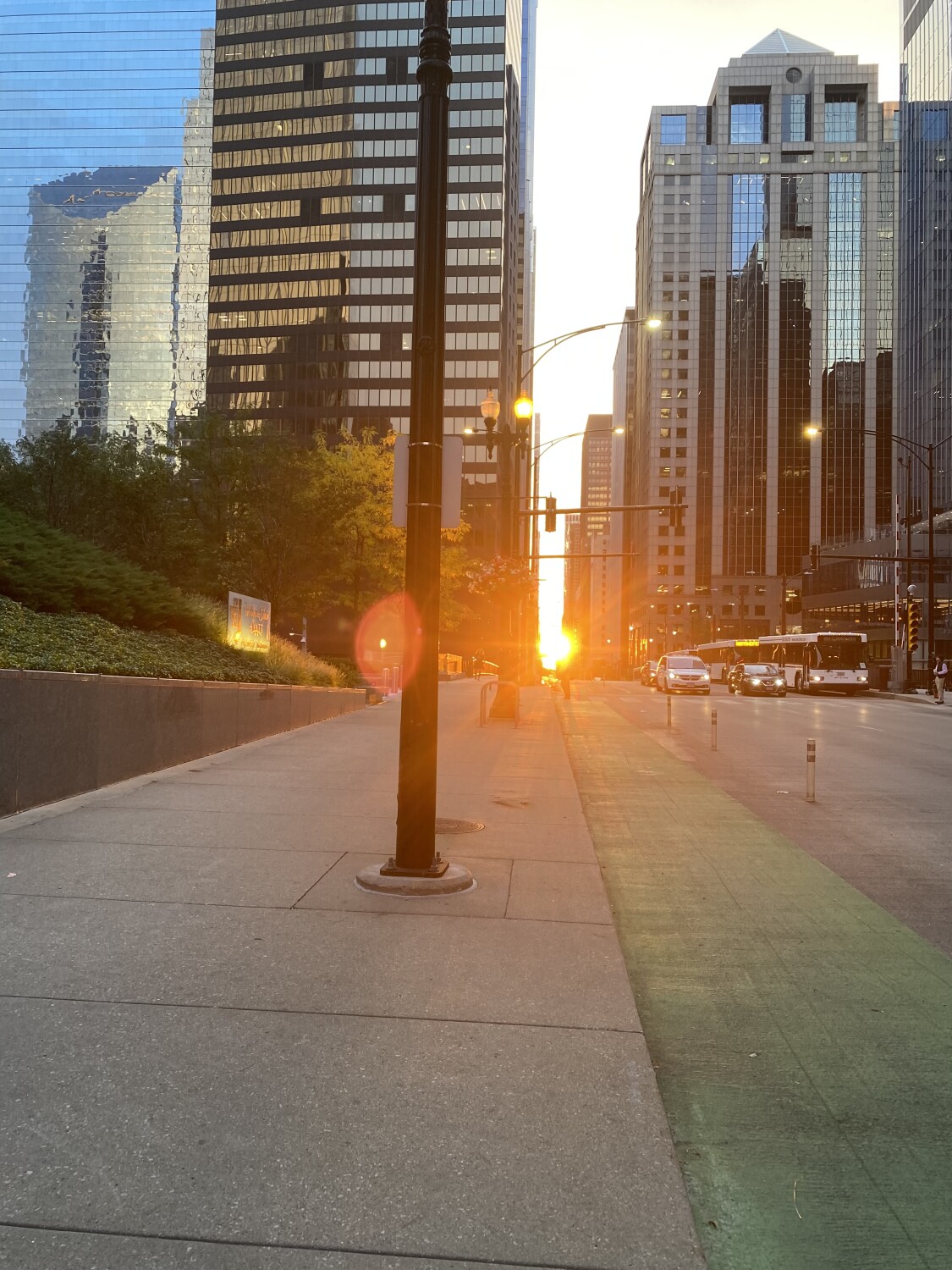 Sunshine Chicago
