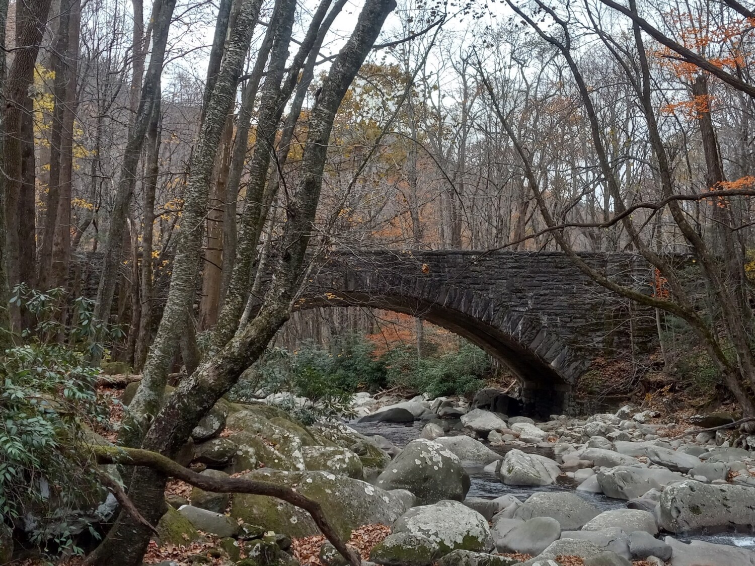 Creek Bridge
