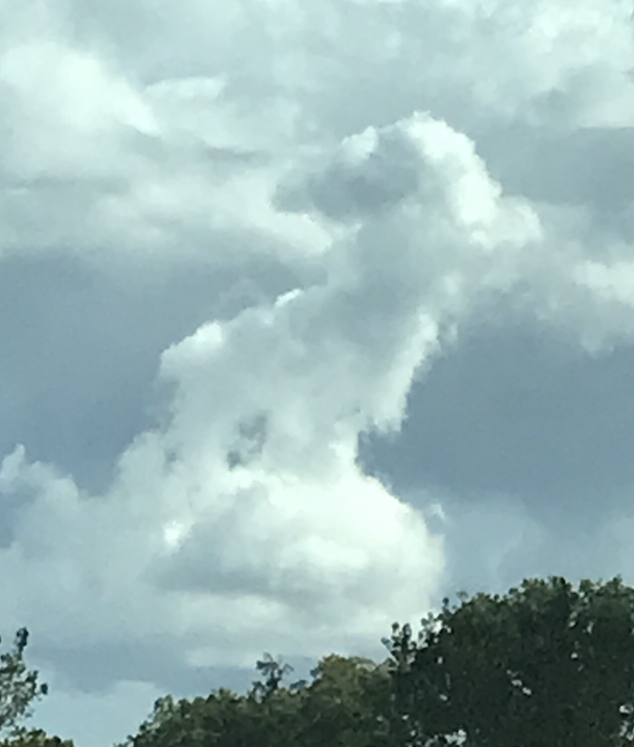 A look over the shoulder