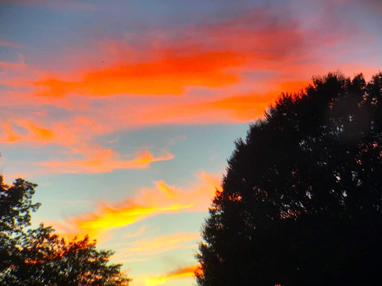 Sunset, Carrboro, NC