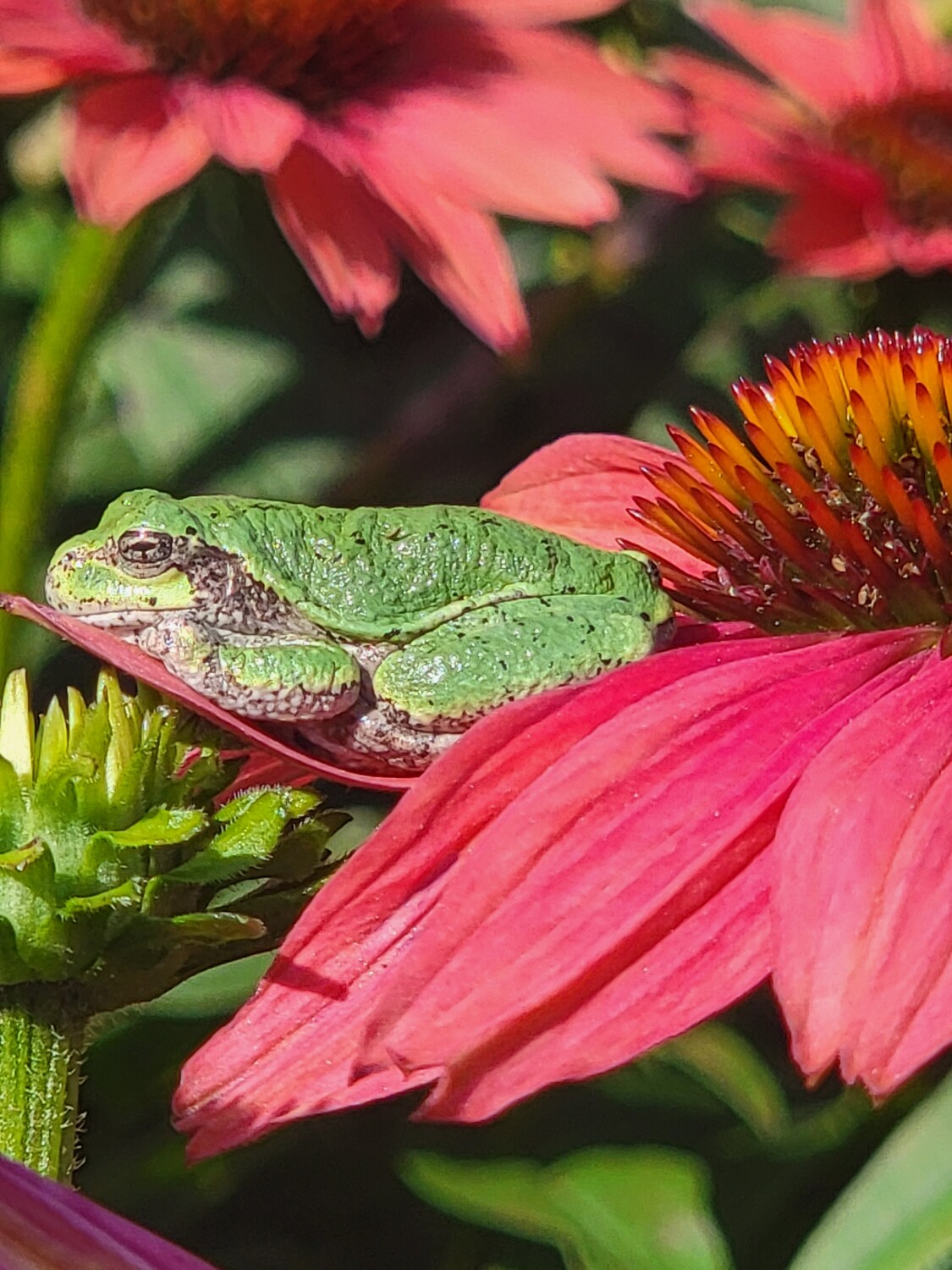 Soaking up the morning Sun