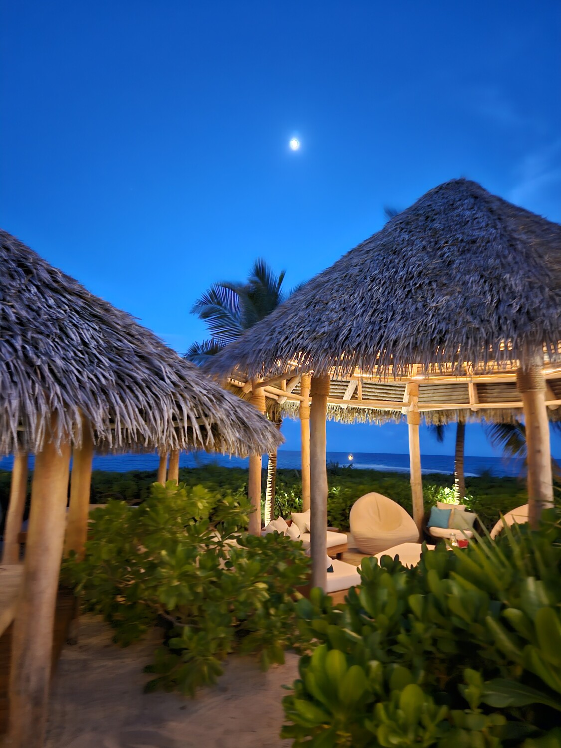 Arriving to paradise