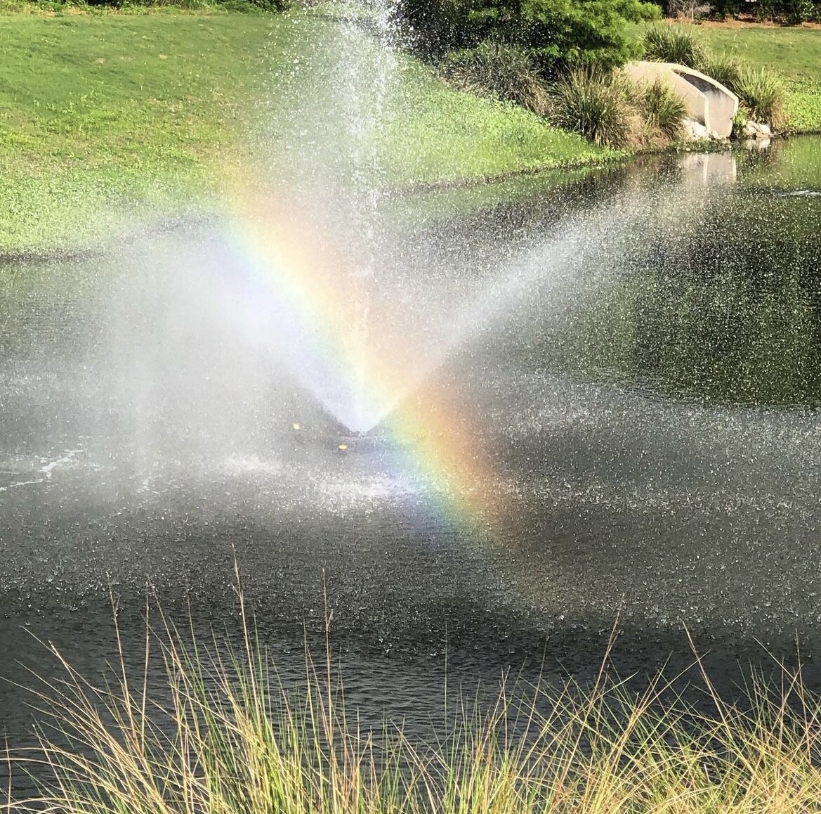 Look For The Rainbow