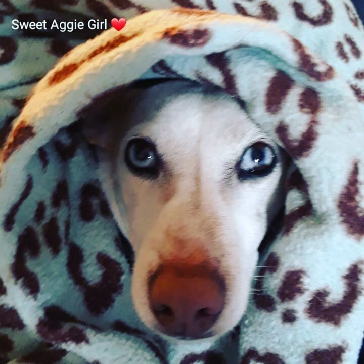 Sweet Aggie Girl