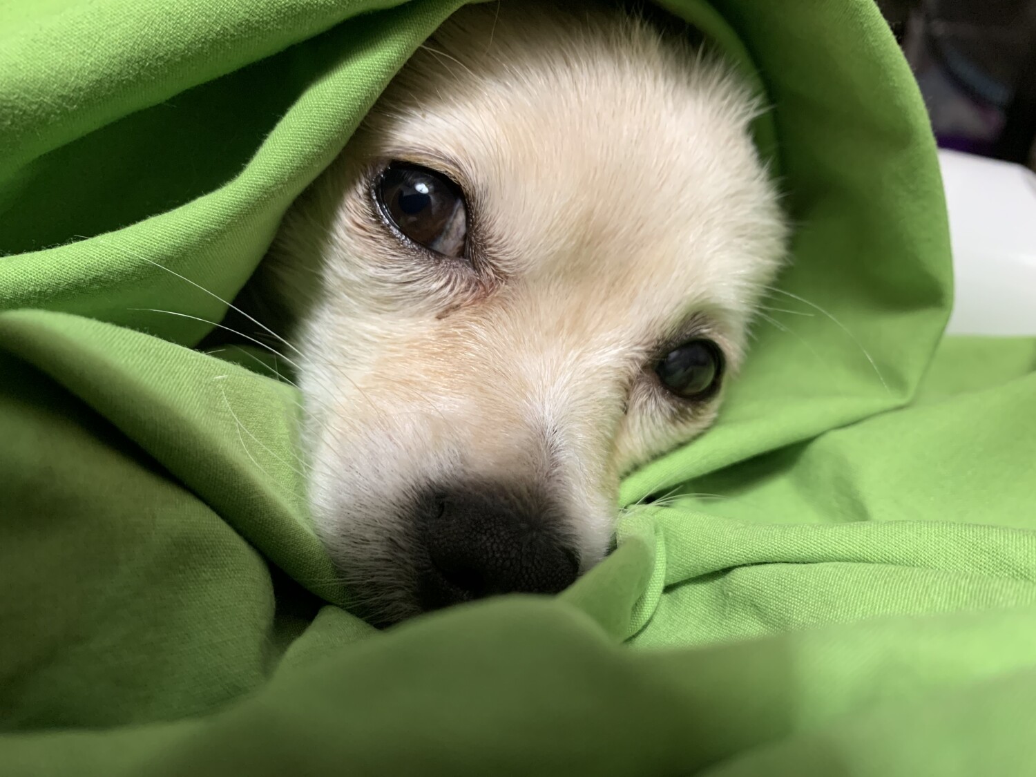 Sleepy Mae’e💕💕