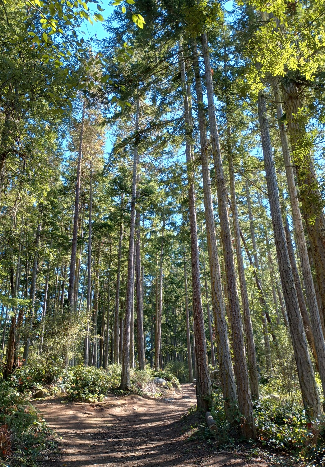 Surrounded by nature