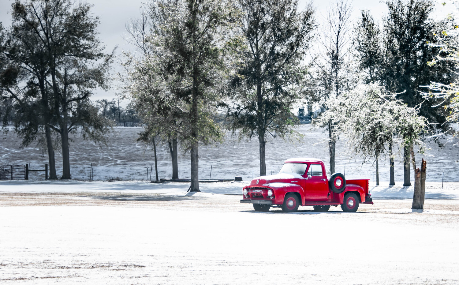 Florida Snow Day 2025