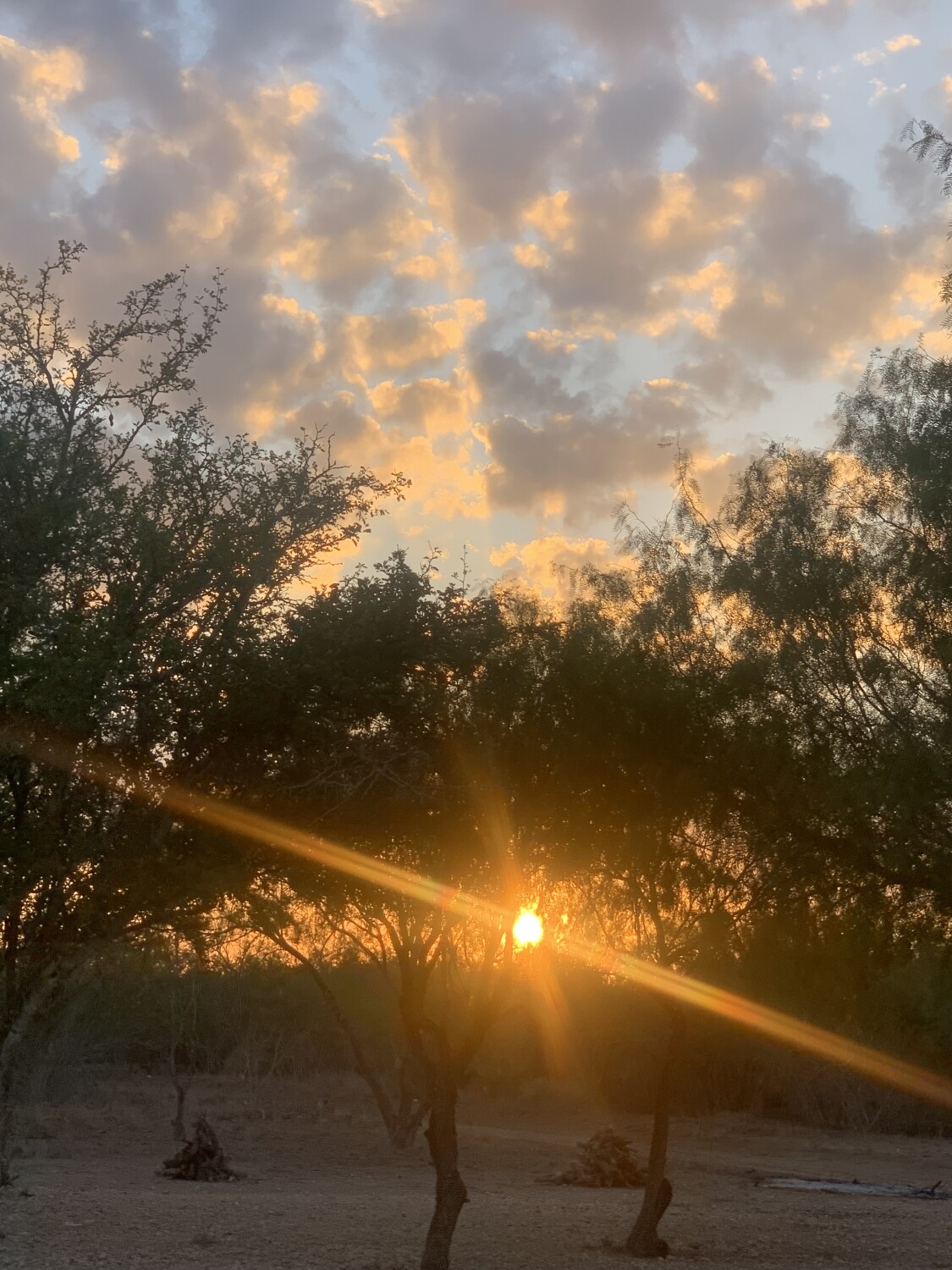 Evening South of the Border Texas