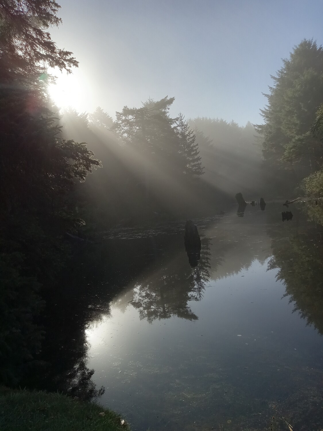 Awakening inner peace