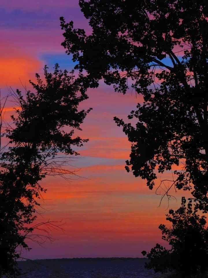 Michigan at Metro Park