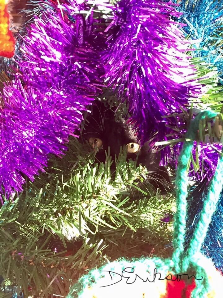 Katniss at Christmas