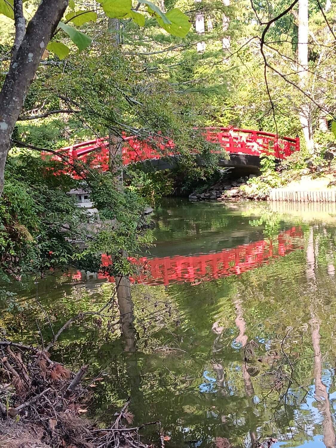 Bring it to the pond