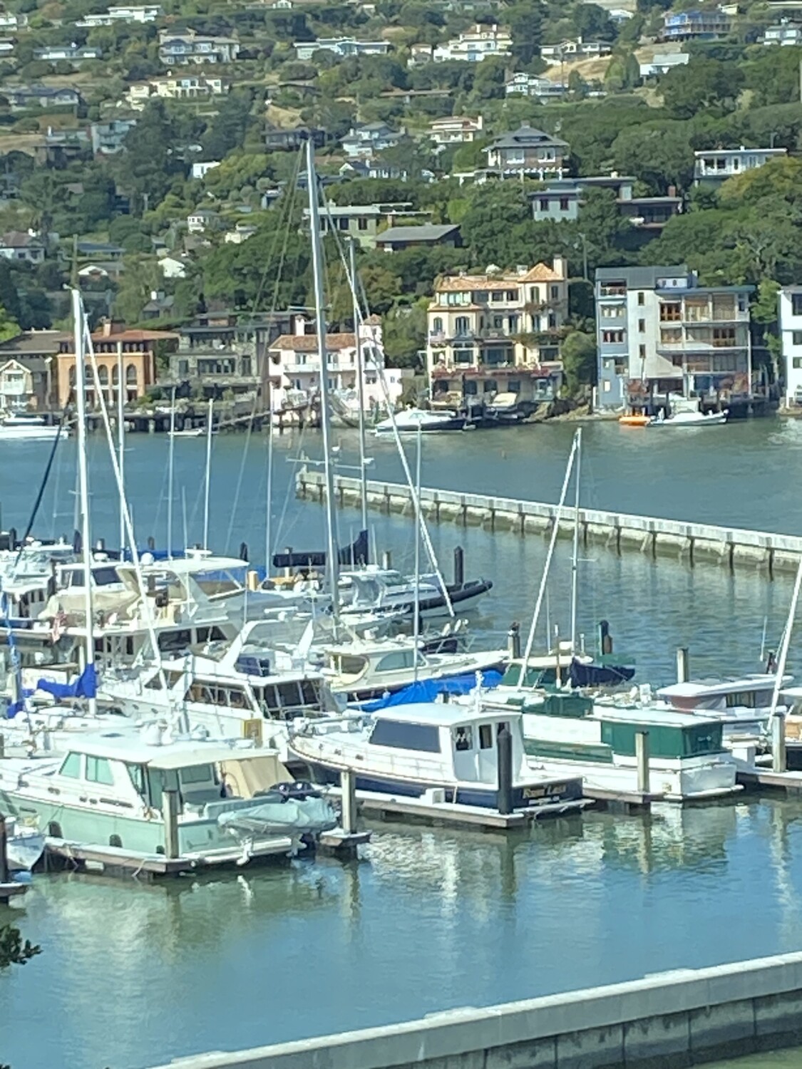 Bay Area Marina