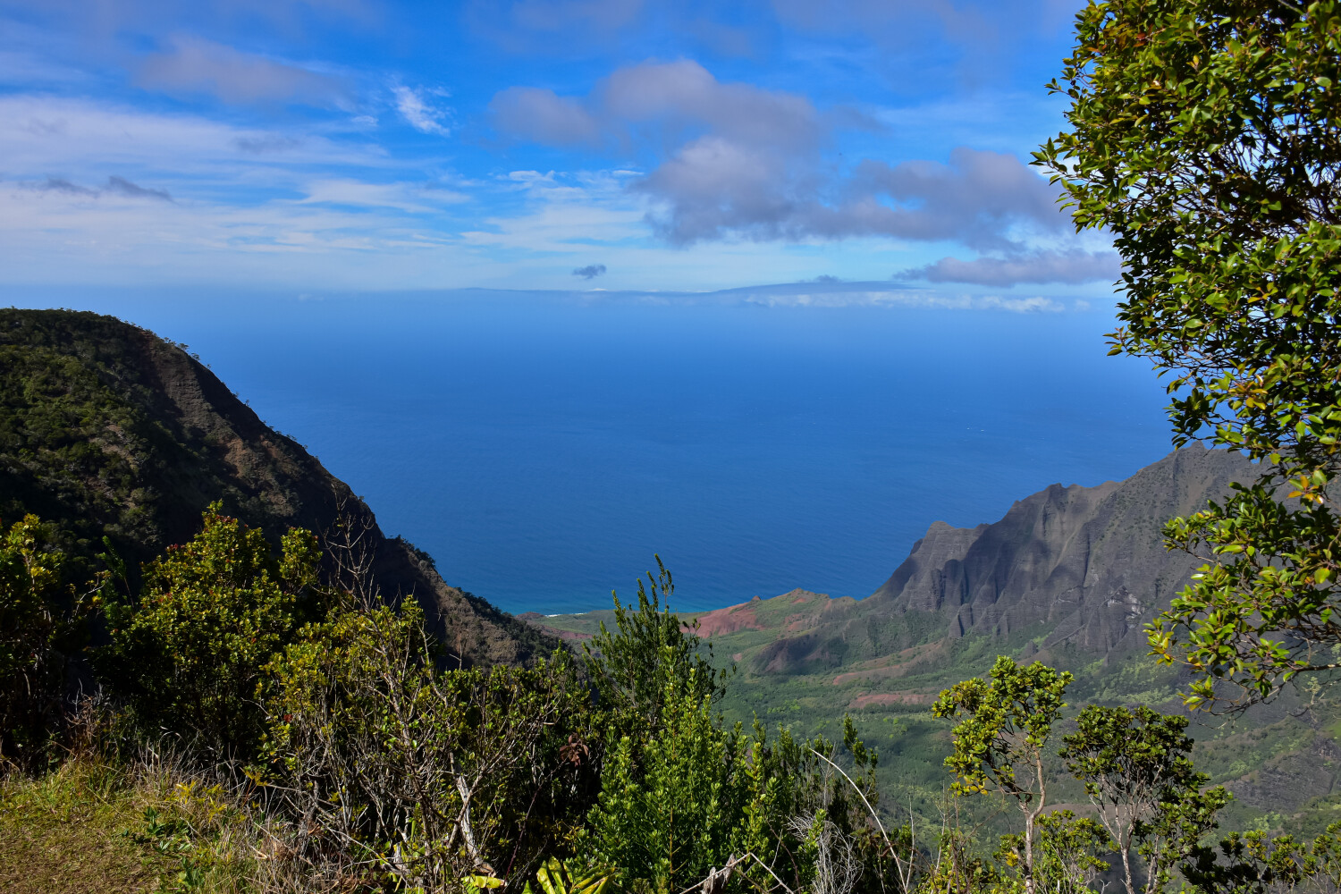 Where The Sea Meets The Ski