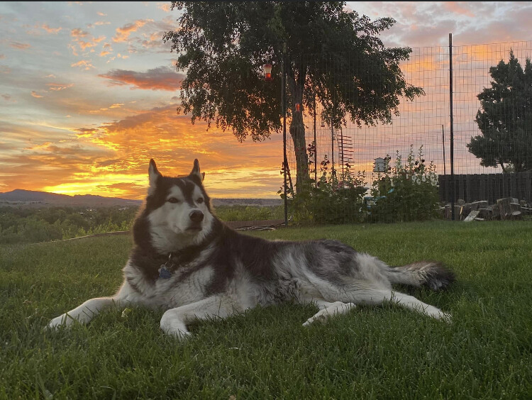 Don’t let the sun go down on