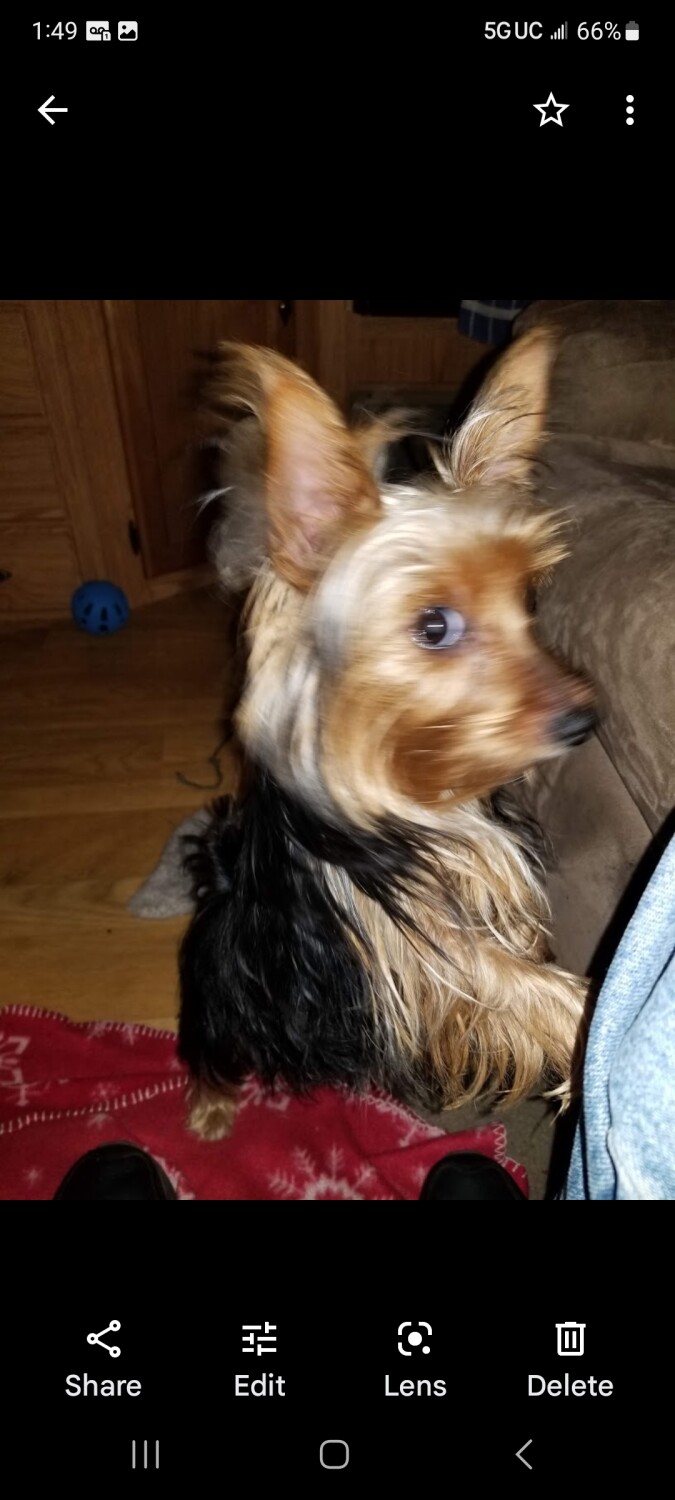 What did you say willis!