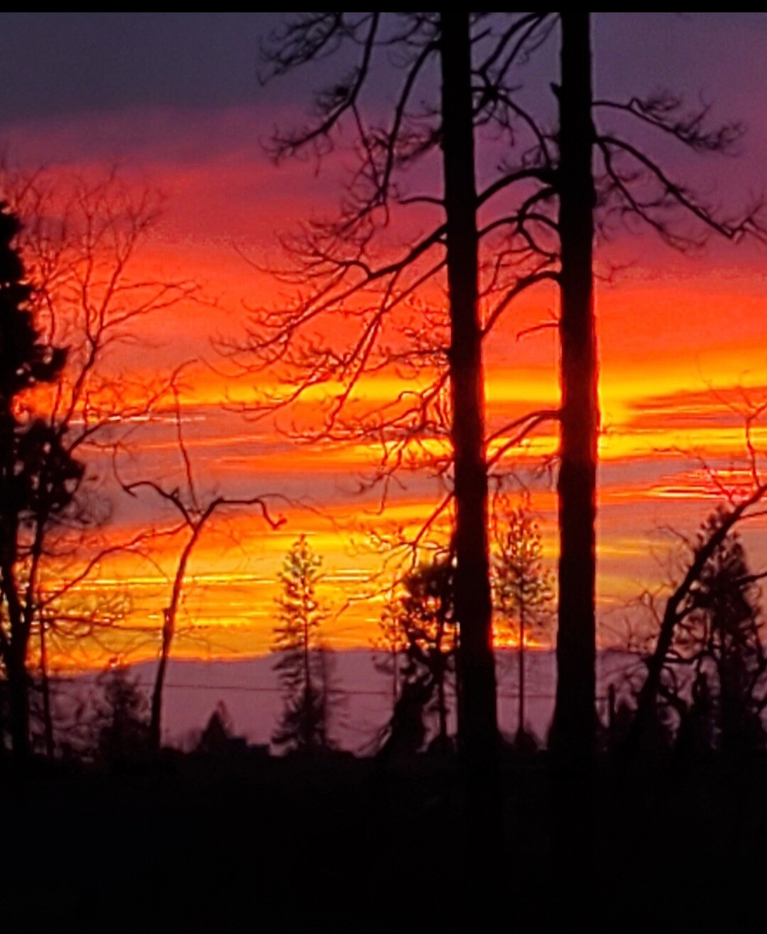 "After Fire Horizon"