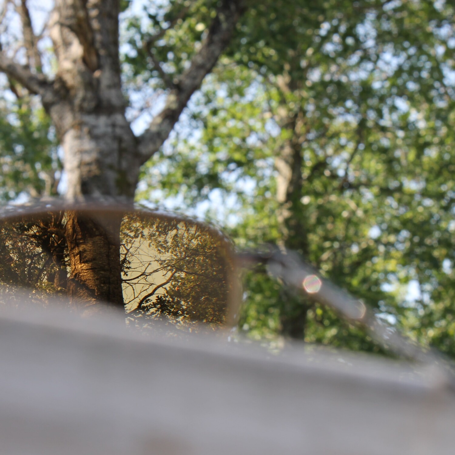 Through the looking glass