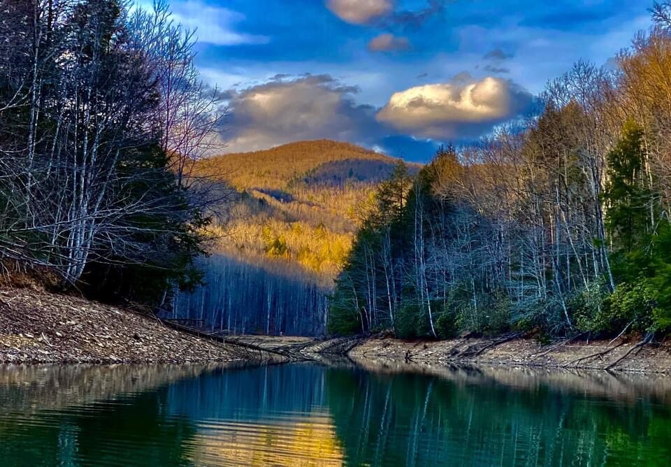 “DAYBREAK ON PINE MOUNTAIN”