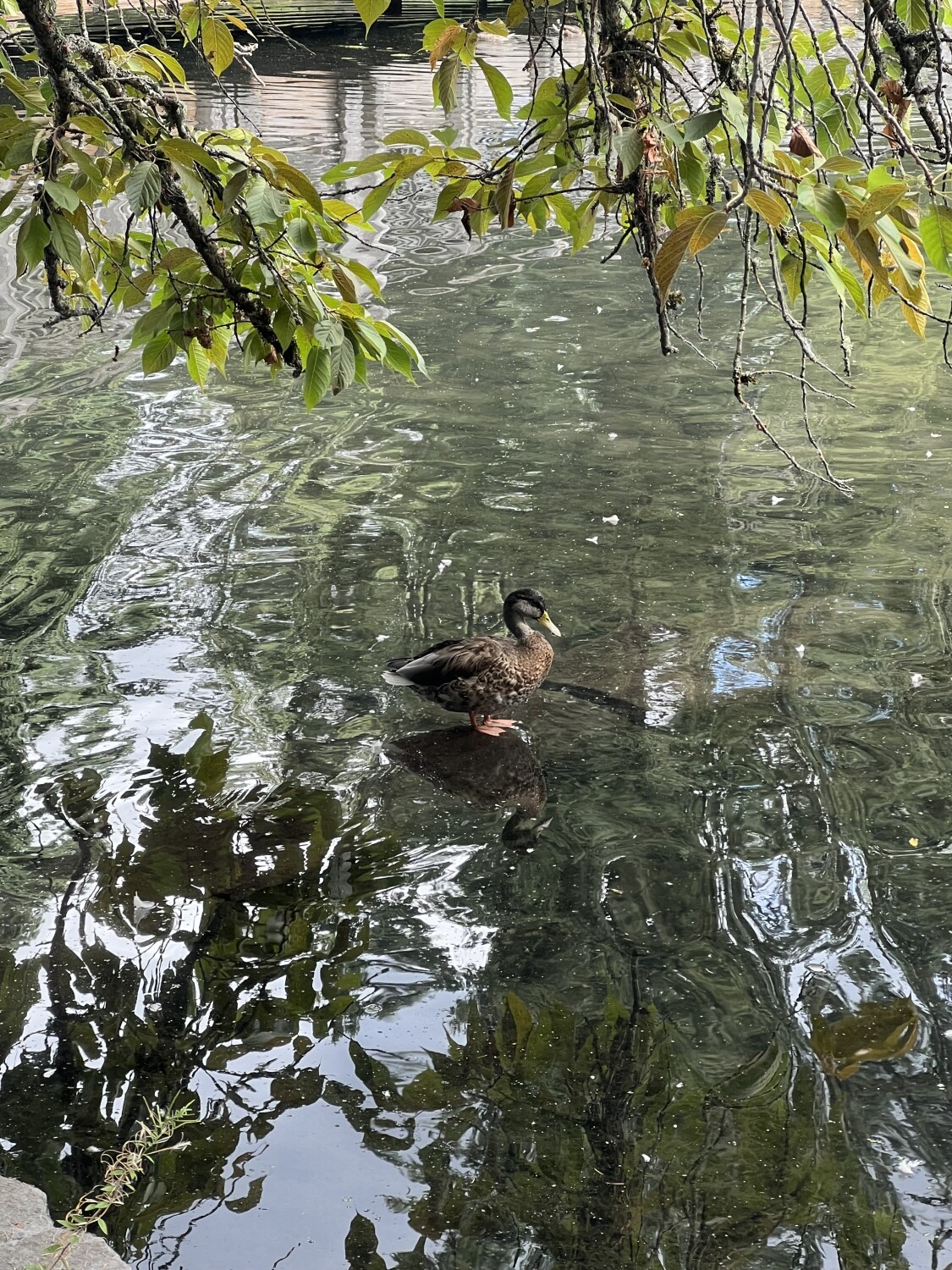 A moment of reflection…