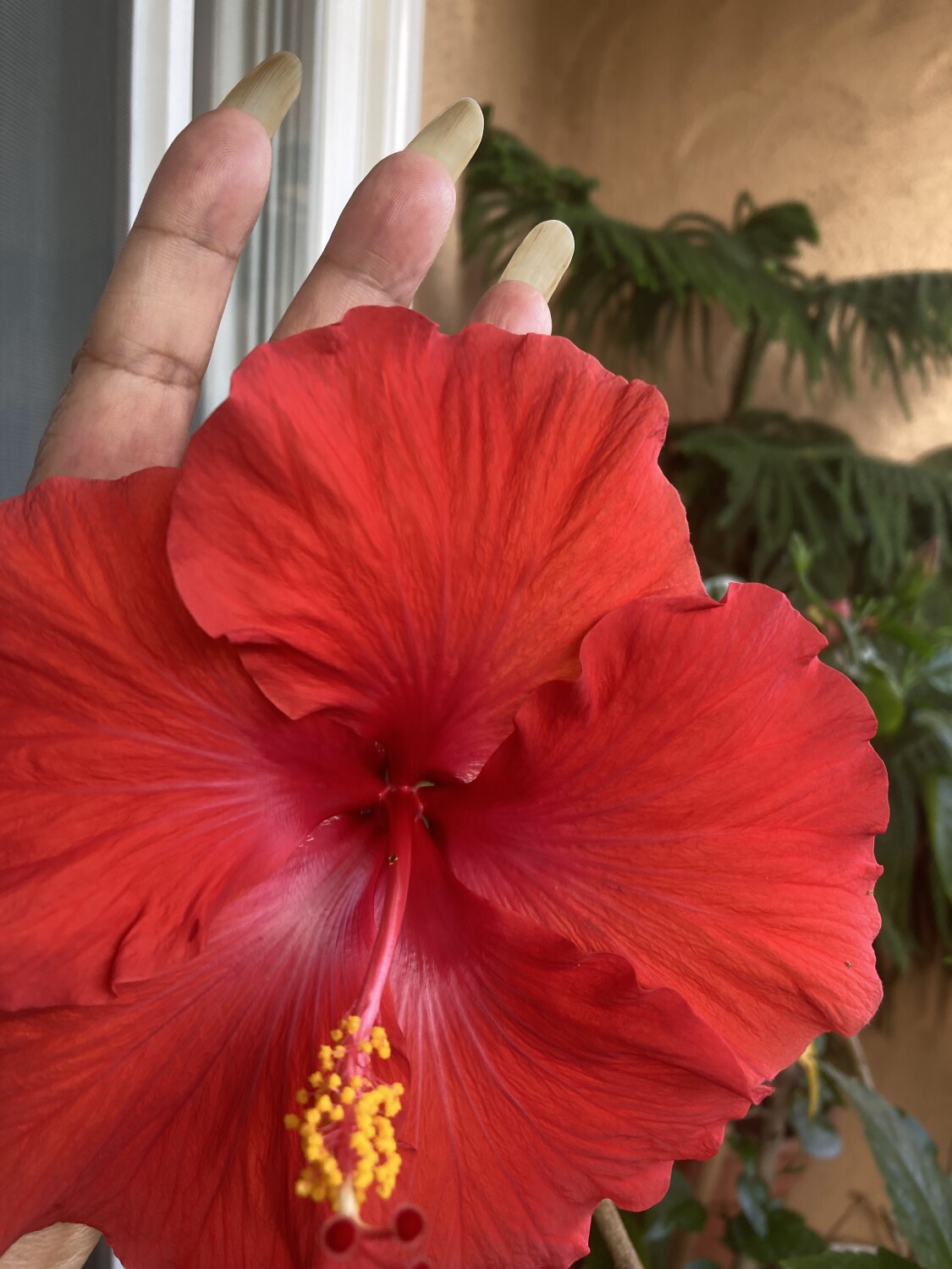 I ♥️U Gumamilla 🔥❤️‍🩹🔥