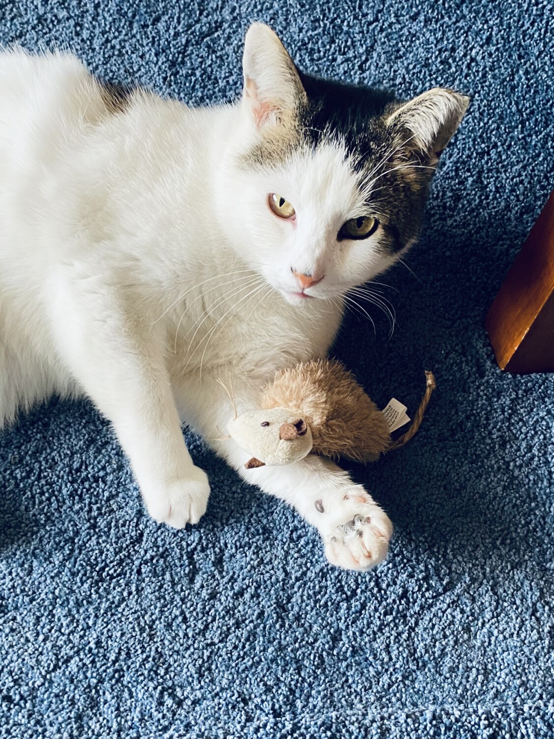 Elizabeth and friend