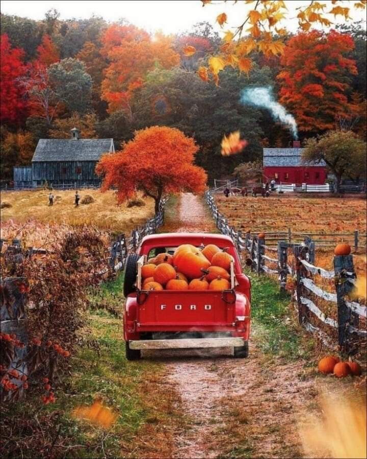 Fall in New England