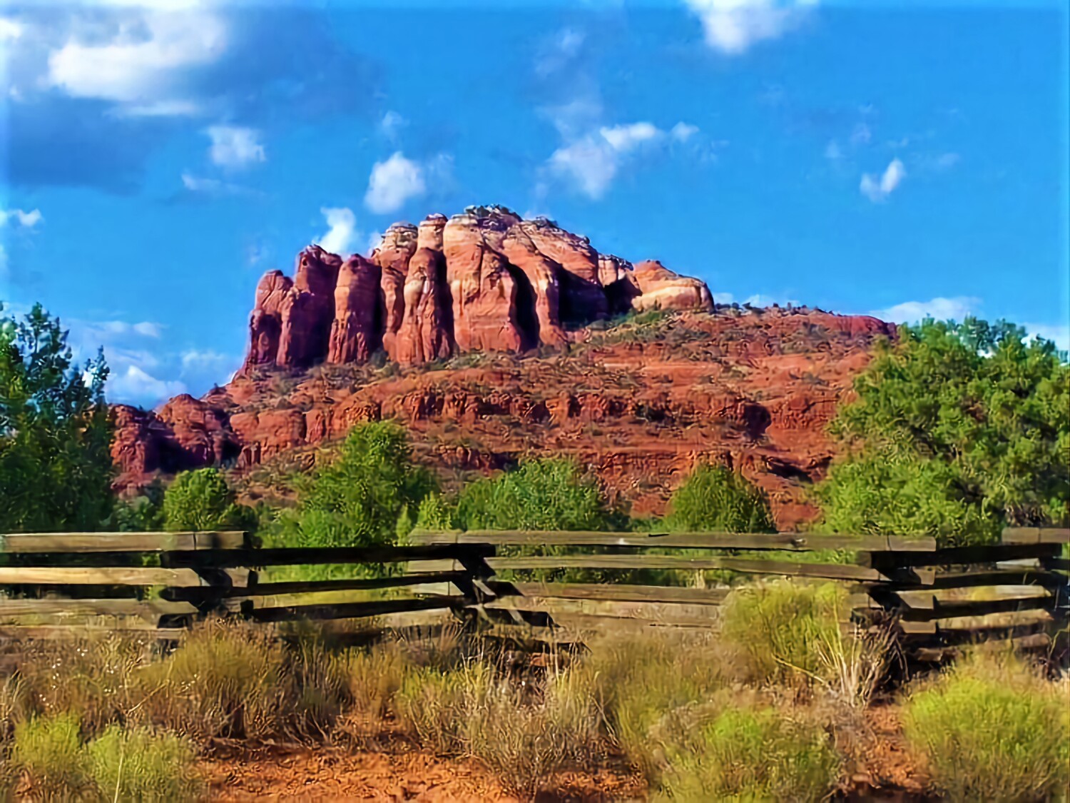 Red Rock Beauty!