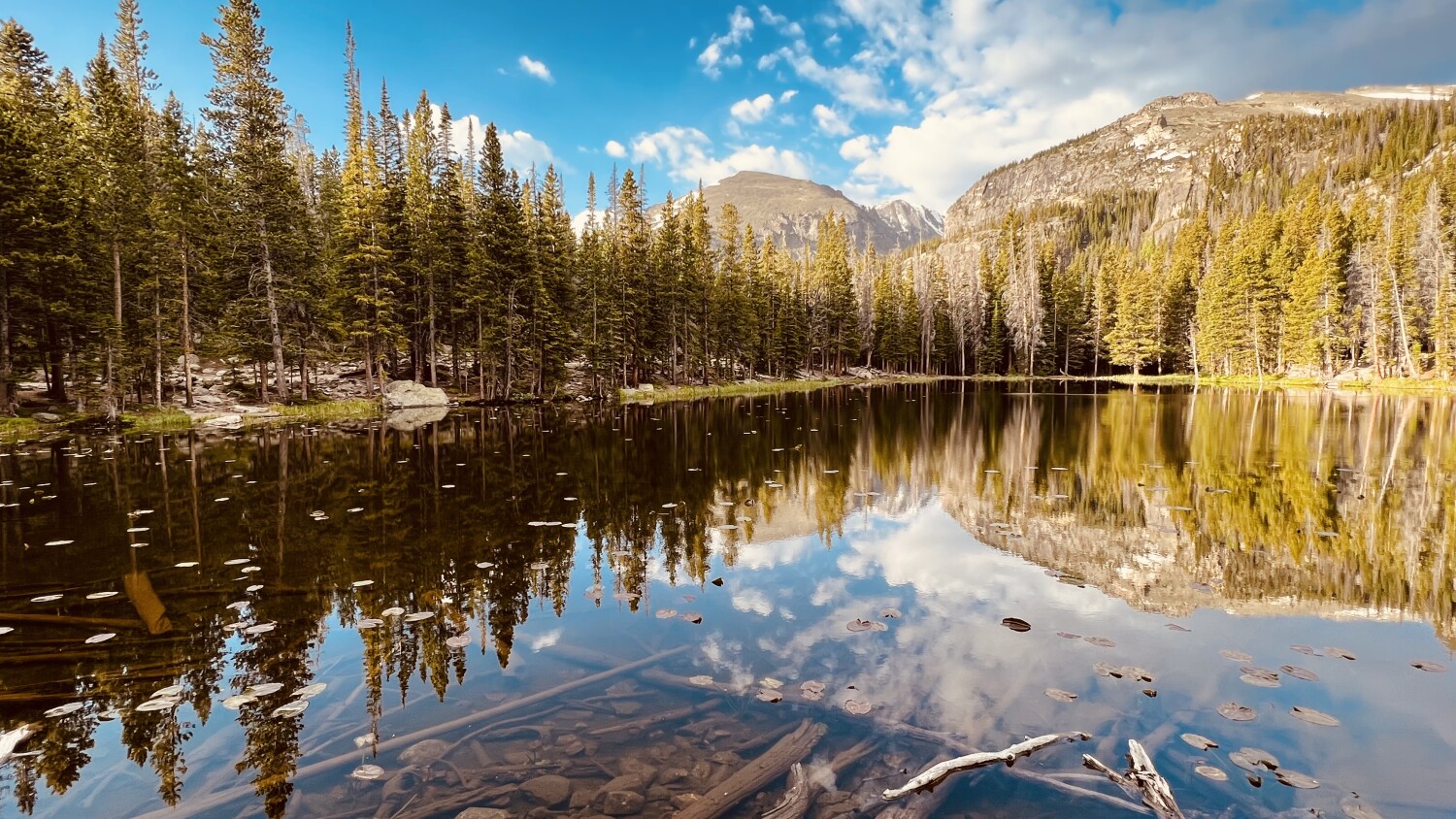 Magical Morning in the Rockies
