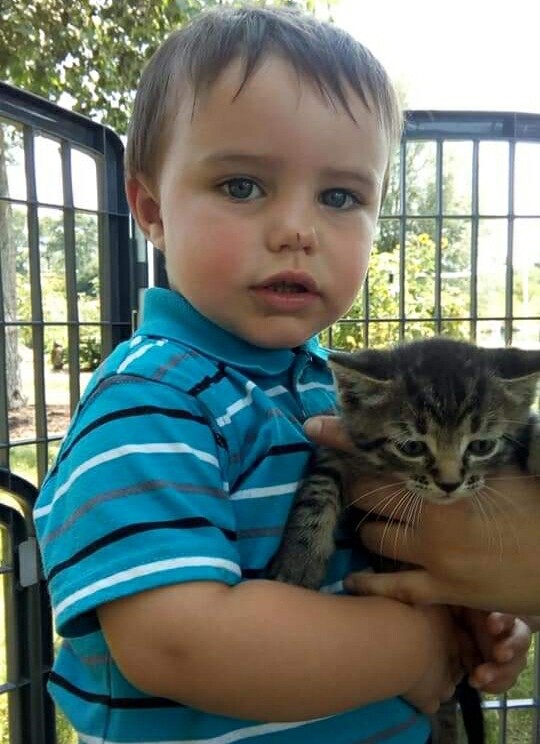 Zander Cat Whisperer