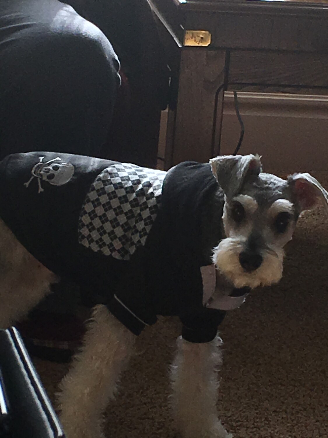 Luigi’s Halloween sweater