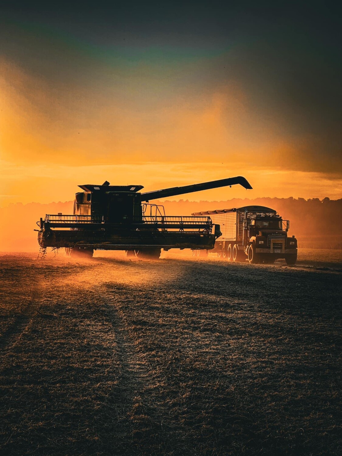 Harvest Sunset