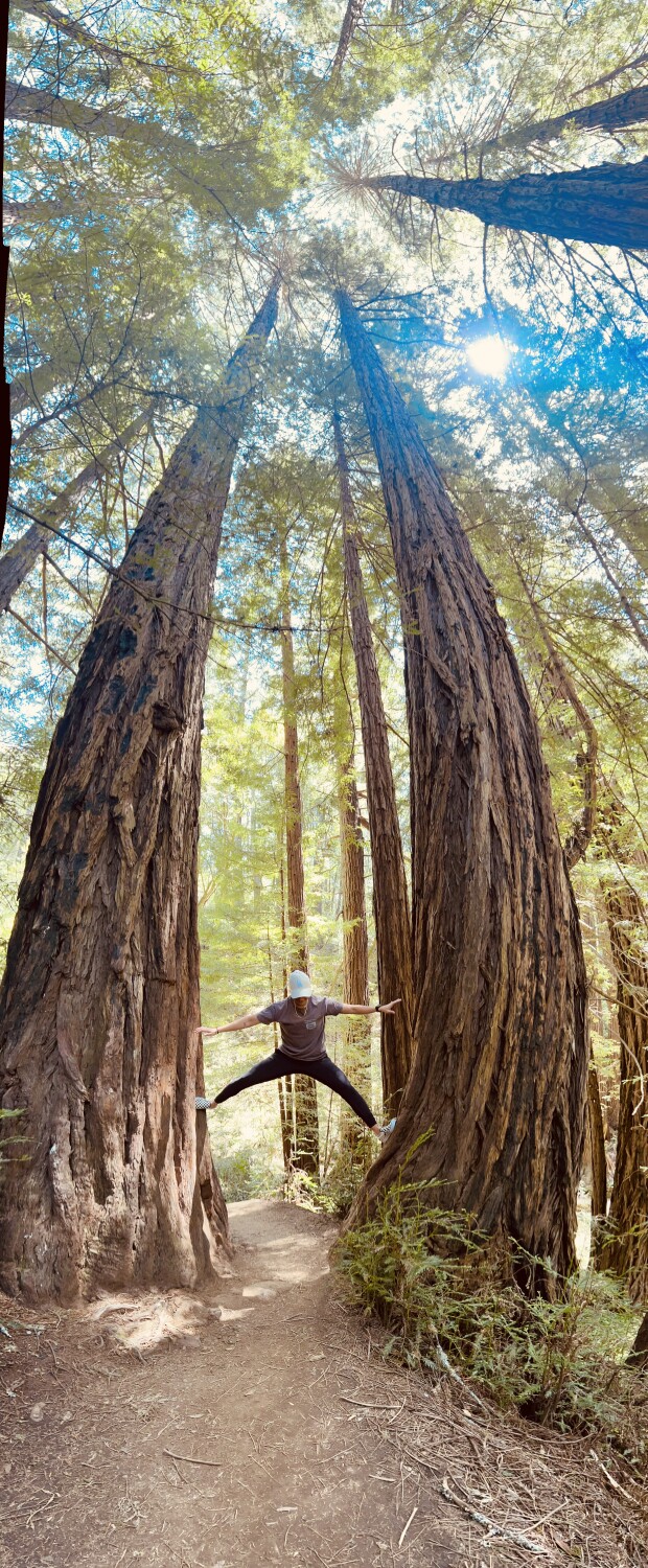 Muir Forest Olympiad