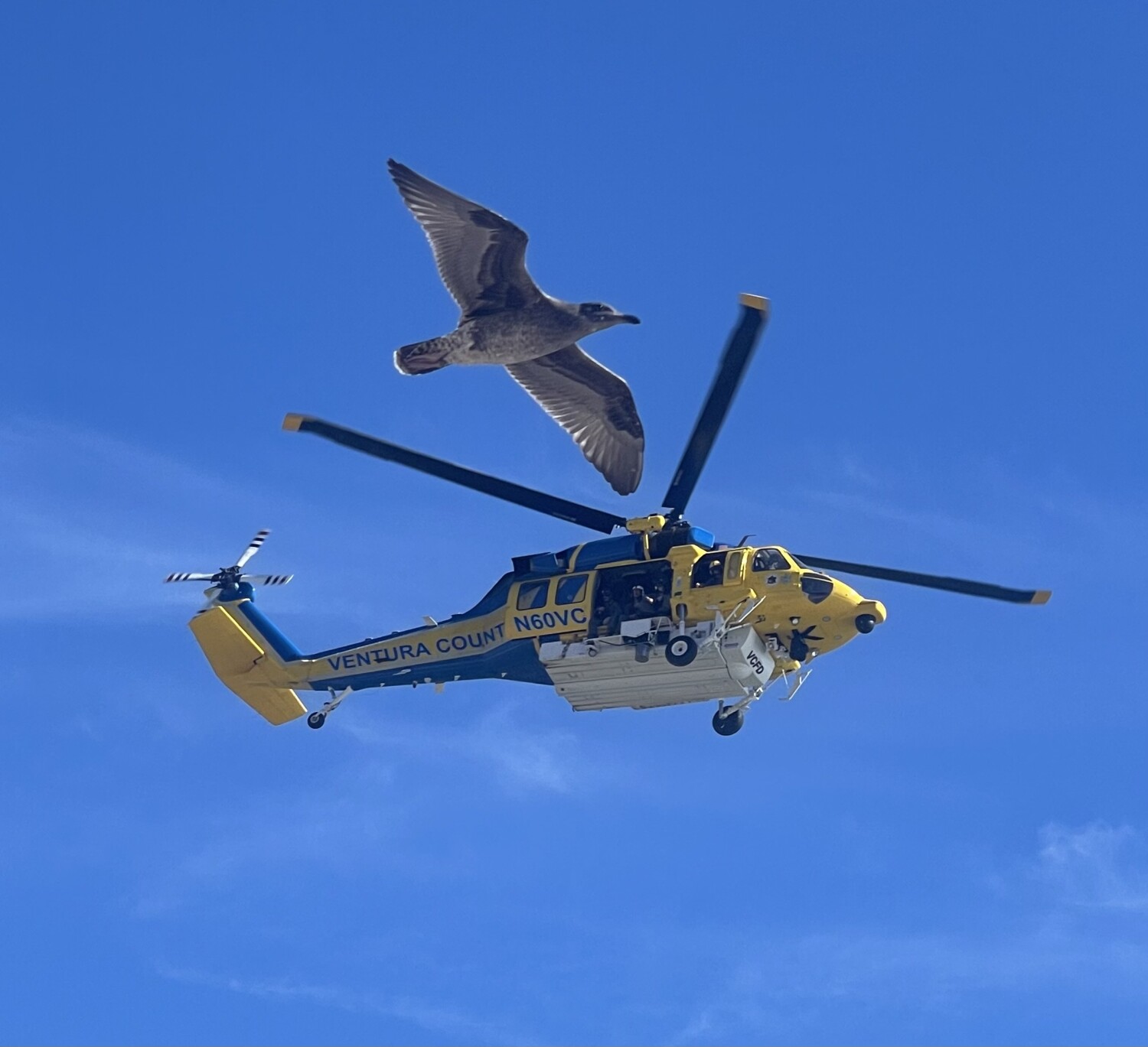 Let’s fly together