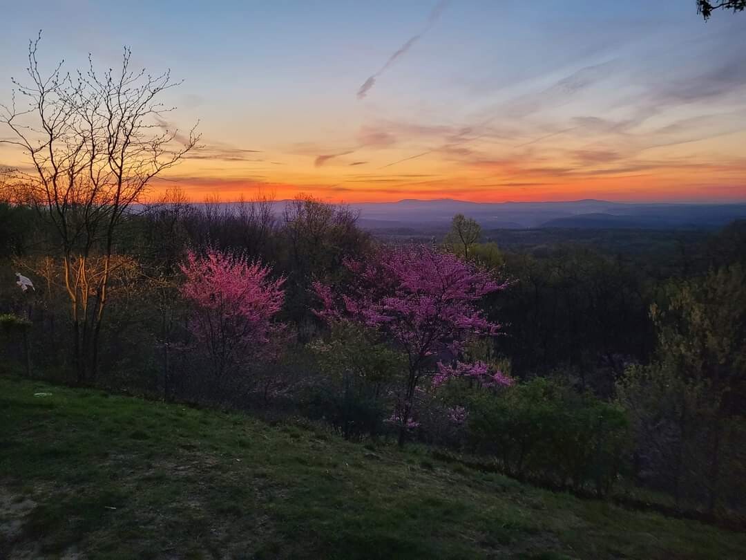 Rest Area : Peaceful