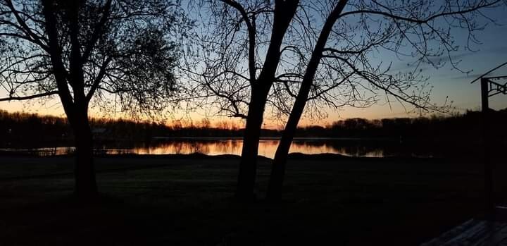 Morning at the ponds
