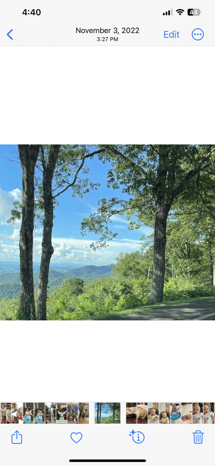 Looking beyond the trees