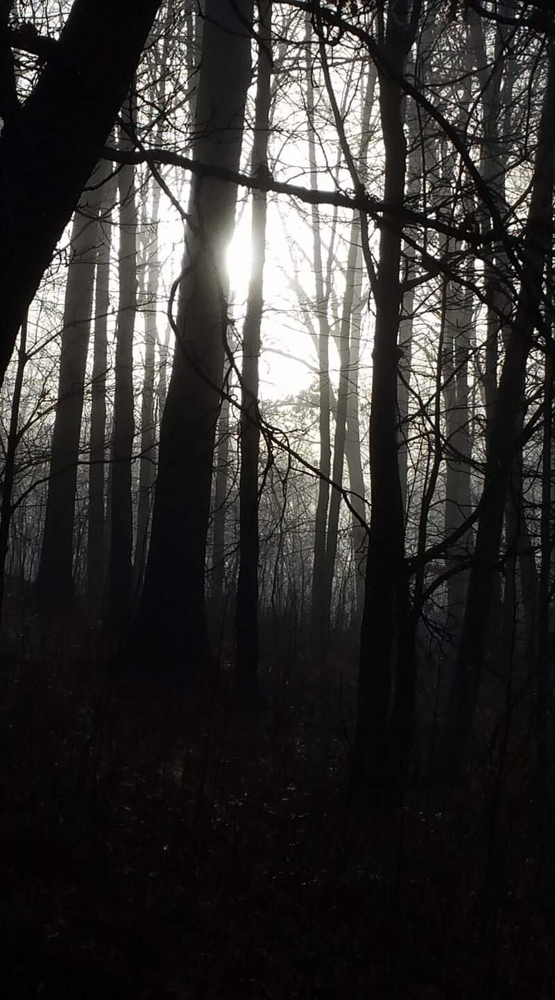 Through the darkness