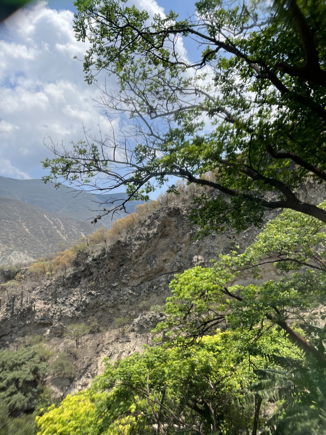 Las montañas de cardonal