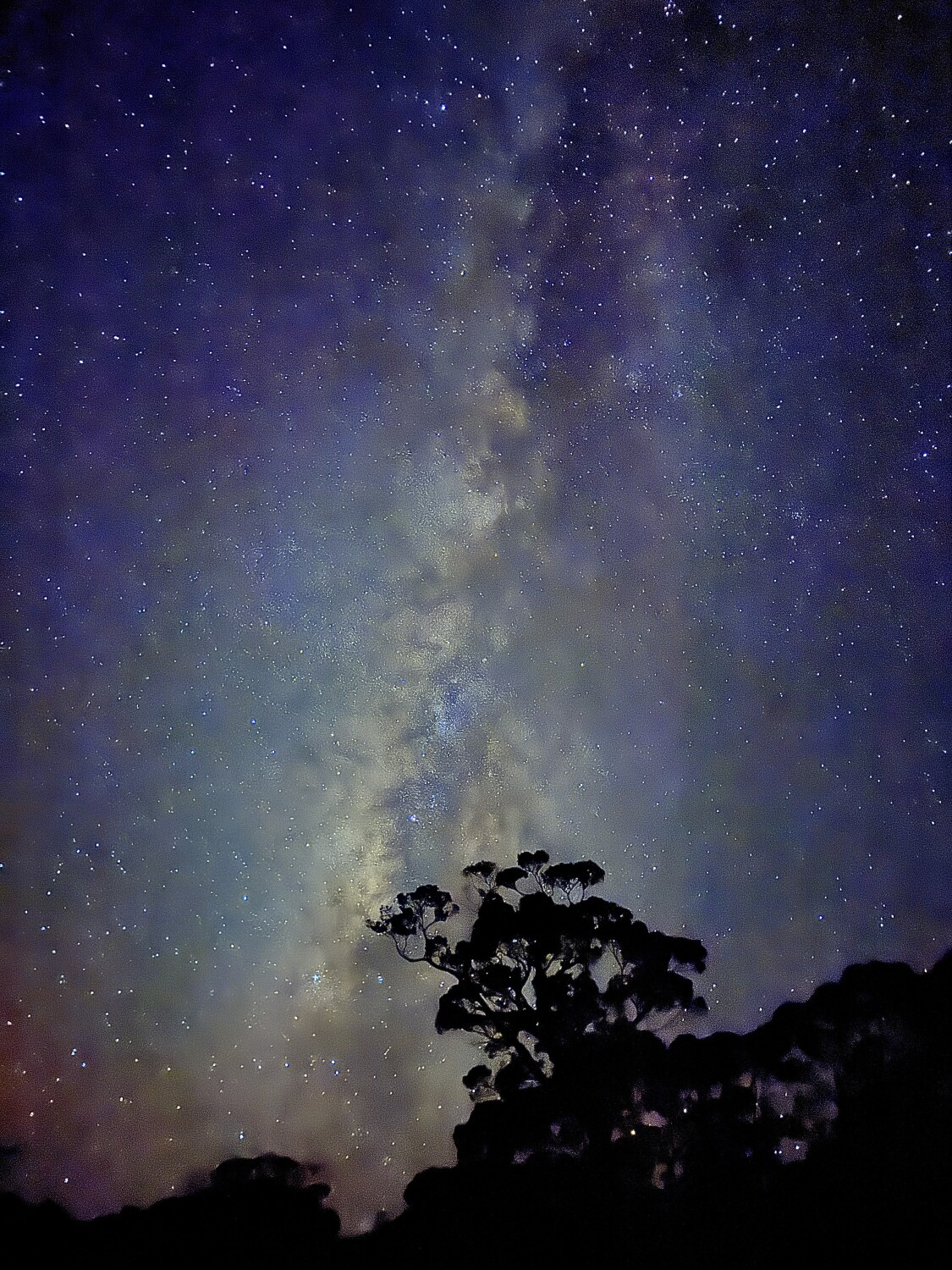 Milky Way Above Koke'e State Park